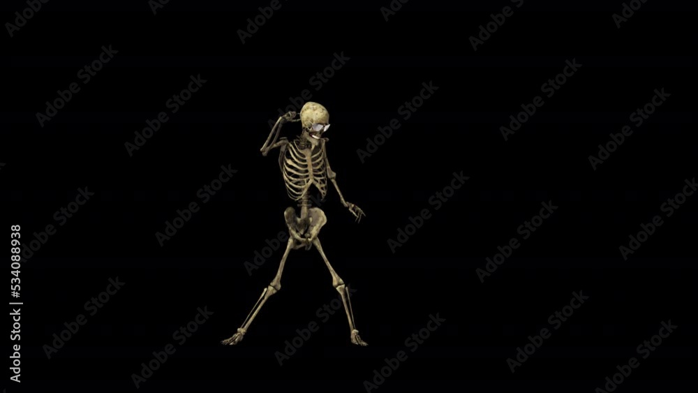 Skeleton Dancer Transparent Alpha Video Animation Skeleton Dancer Transparent Alpha Video Animation
