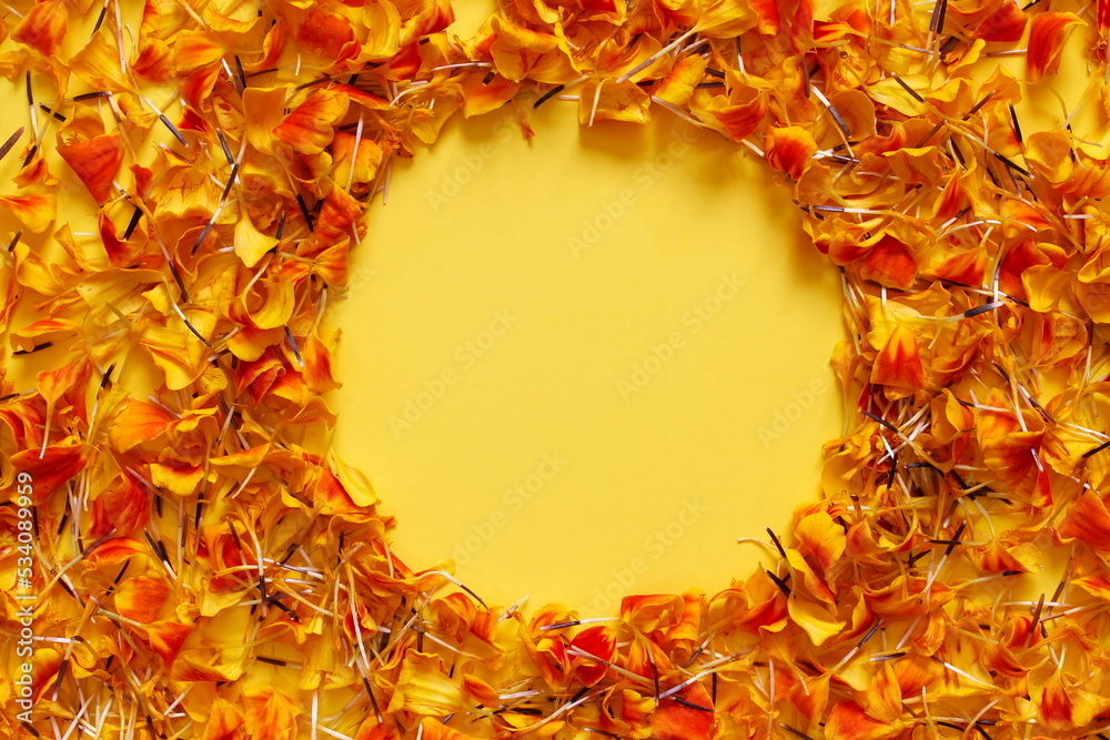 beautiful yellow gold marigold flower petals texture frame background