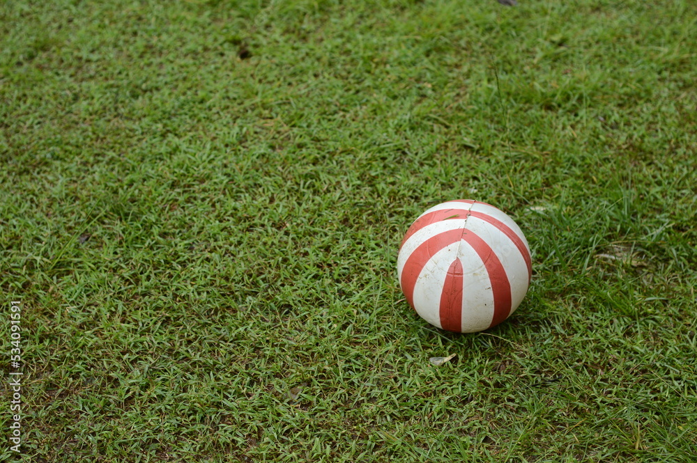 plastic ball on green grass
