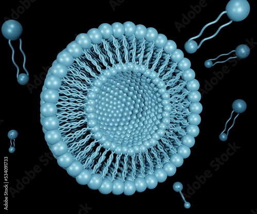 Archaeosomes with tetraether lipids for membrane layer 3d rendering