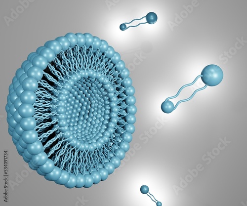 Archaeosomes with tetraether lipids for membrane layer 3d rendering photo