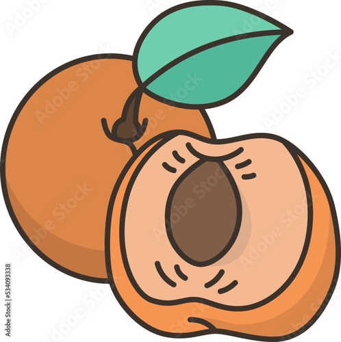 apricot icon