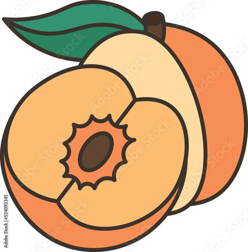 apricot icon