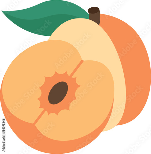 apricot icon