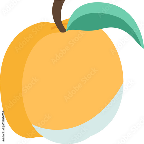 Apricot icon