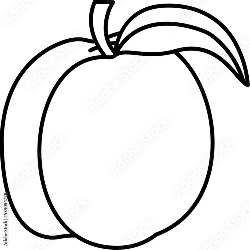 Apricot icon