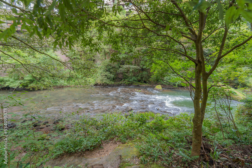 Fototapeta premium こおろぎ橋