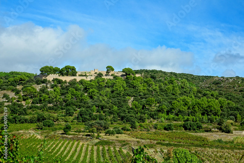 Fototapeta Naklejka Na Ścianę i Meble -  Montpeyroux , Village of France