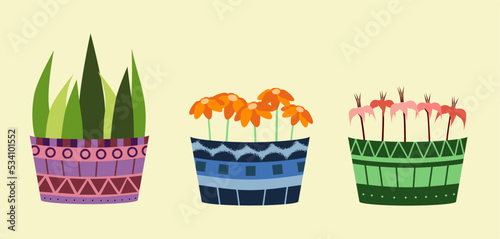 pack of stylized illustration of plants in pot, consist of aloe vera, daisy, and shoeblack plant