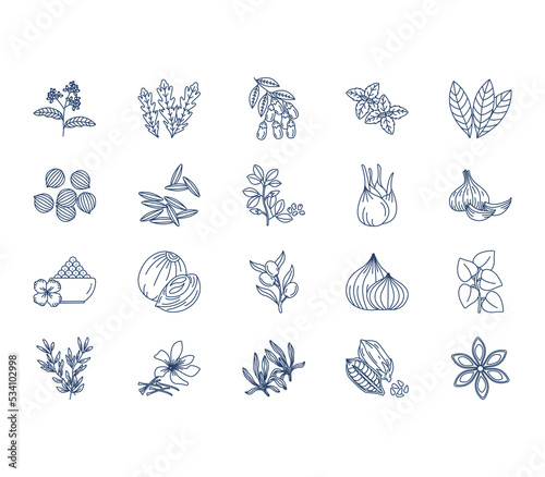 Herbs and Spices icon set