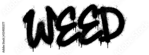 Spray Painted Graffiti Weed Word Sprayed isolated with a white background. graffiti font Weed with over spray in black over white. Vector illustration.