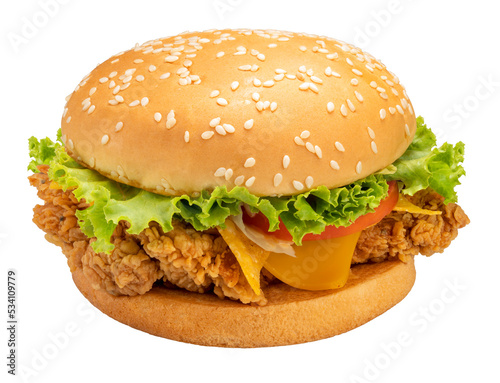 Chicken Hamburger with cheese, tomato, onion, lettuce and ketchup mustard isolated on white background, Hamburger on white  PNG file.