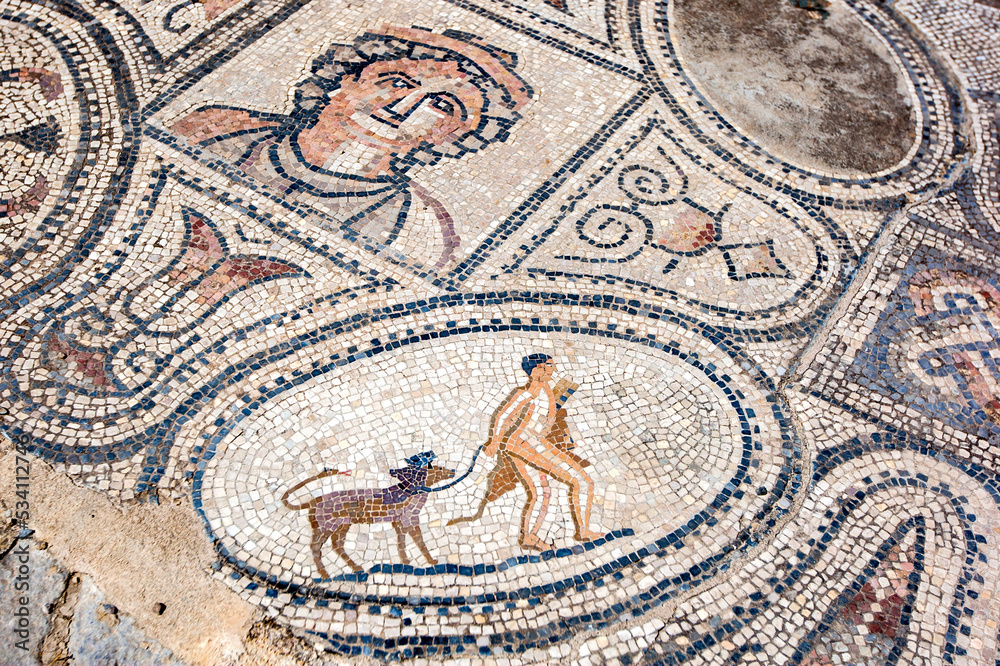 A mosaic in the House of the Labourers of Hercules at the ancient Roman city of Volubilis in Morocco. It shows Hercules with his pet Cerberus, a three-headed dog with a snake tail.