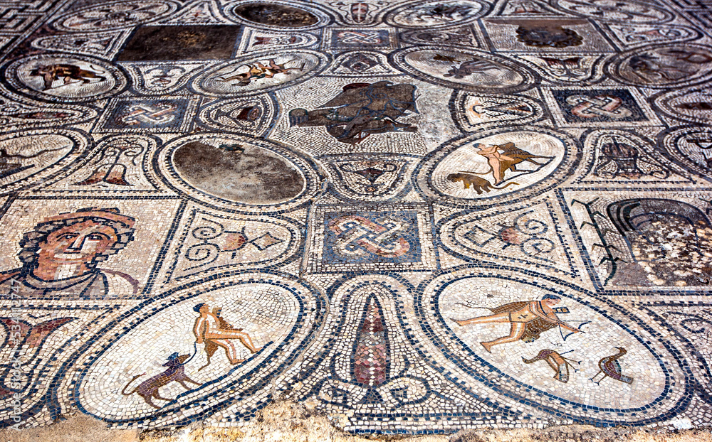 A mosaic at Volubilis in Morocco which includes Hercules capturing and returning with his pet Cerberus, a three-headed dog with a snake tail (bottom left) in the House of the Labours of Hercules. 