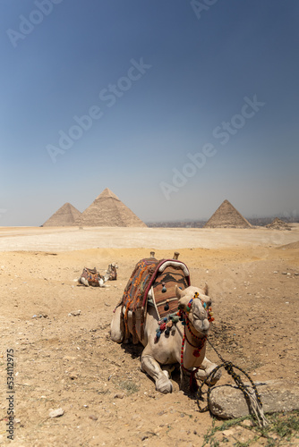 Egypt. In love with this rich country with so many beauty and historical places.