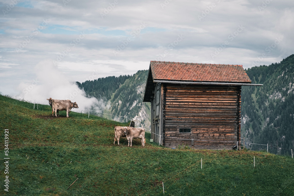 Berglandschaft in den Alpen