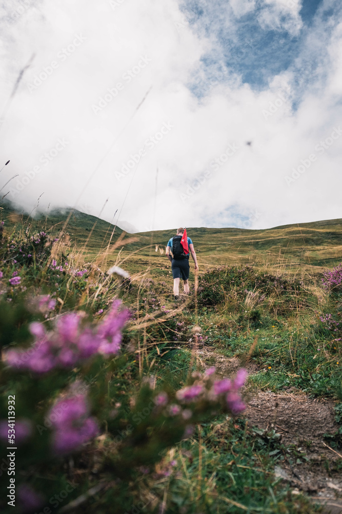 Berglandschaft in den Alpen