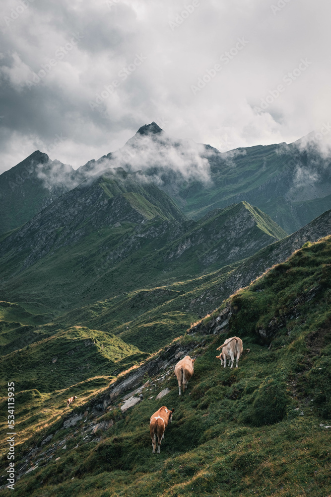 Berglandschaft in den Alpen