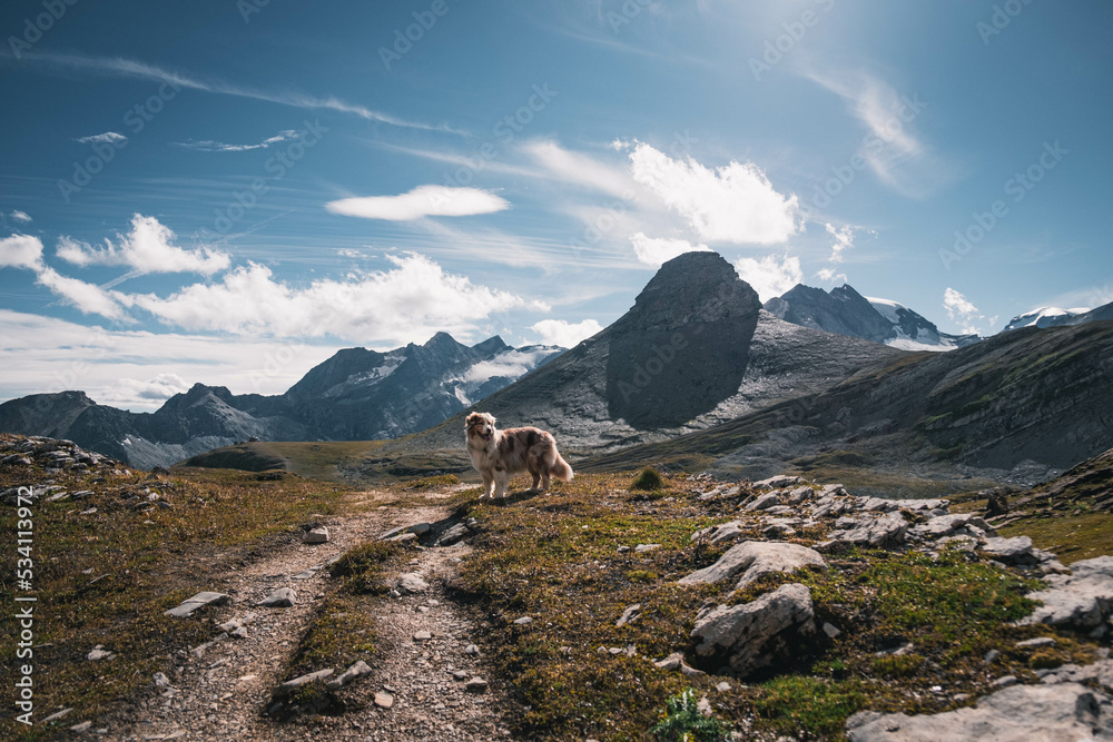 Berglandschaft in den Alpen