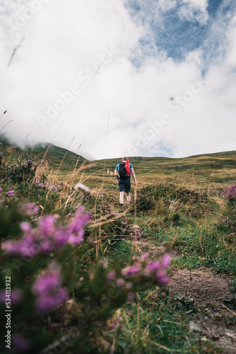 Obraz na płótnie Berglandschaft in den Alpen w salonie