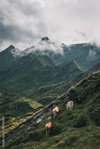 Obraz na płótnie Berglandschaft in den Alpen w salonie