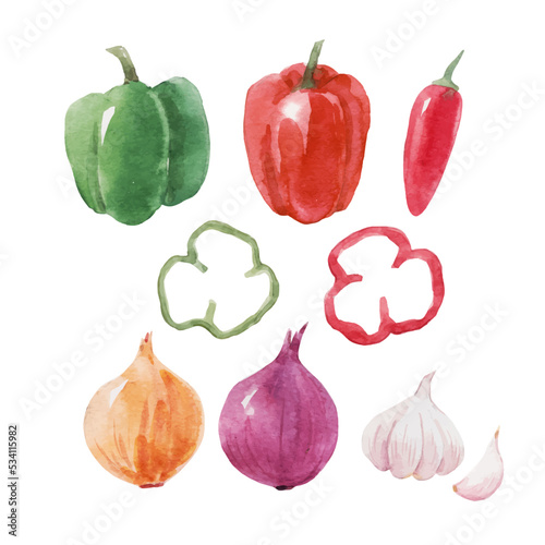 Beautiful vector stock clip art illustration set with hand drawn watercolor tasty bell and chili pepper onion garlic vegetable. Healthy vegan food.