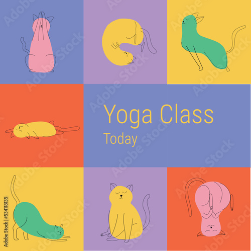 Colored Cat Meditating. Banner for yoga class. Vector line art illustration. Kittens with line and spots
