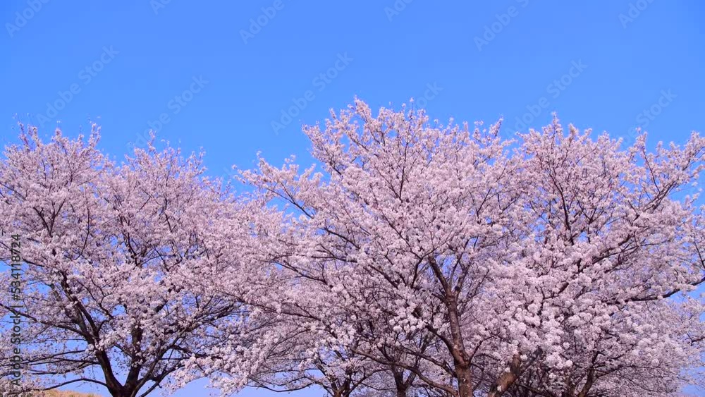 名称未設定プロジェクト 名称未設定プロジェクト