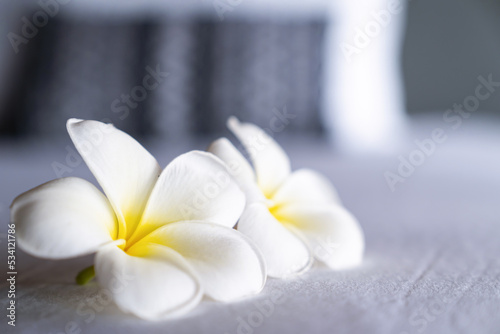 Frangipani flower or Lan Thom in Thailand name  is on the white king bedroom at hotel with morning light from outside room.