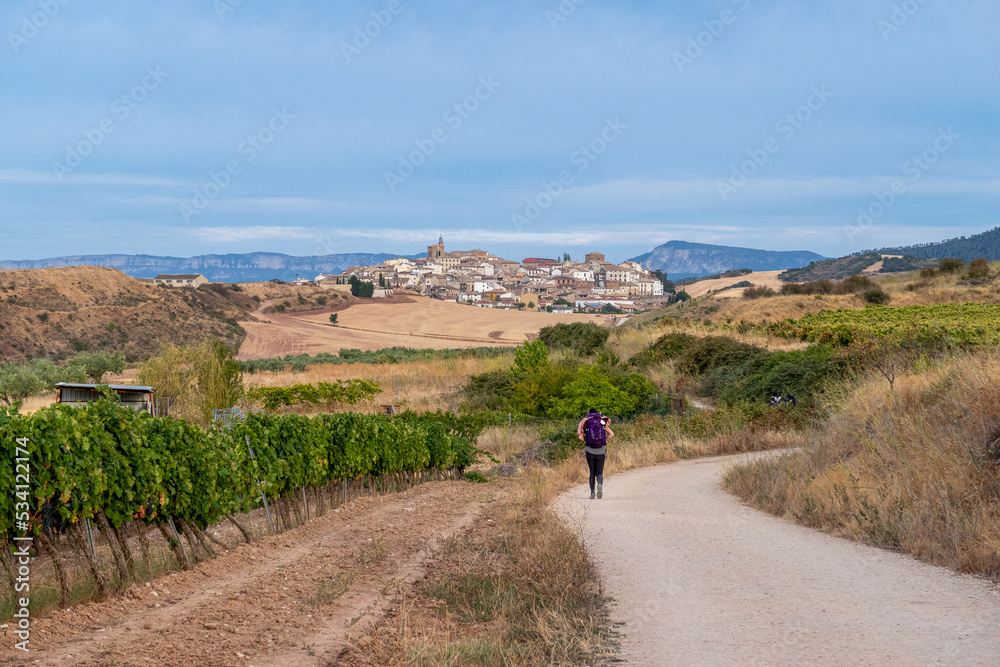 Cirauqui village, Navarra, Spain; September 07, 2022; Hiker on the French Way of Saint James.