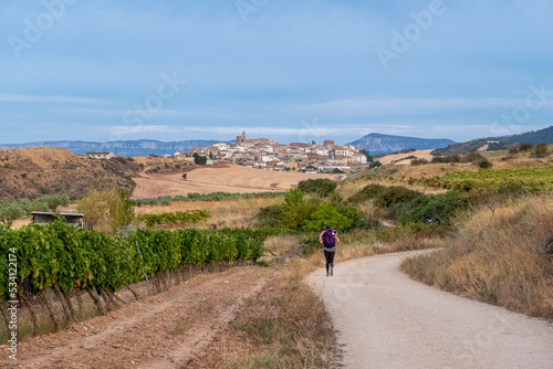 Cirauqui village, Navarra, Spain; September 07, 2022; Hiker on the French Way of Saint James. photo