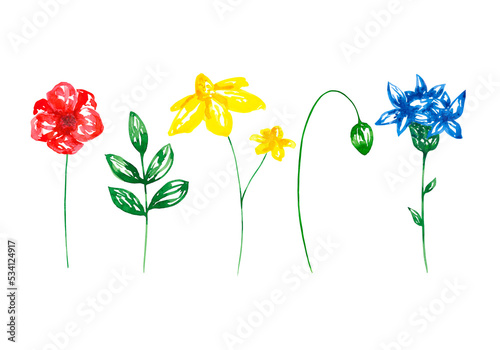 Watercolor wildflowers floral collection isolated on transparent background. Delicate flowers and leaves clip art set. Botanical field flowers design elements.