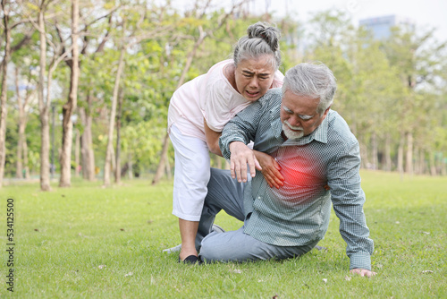 Asian senior man standing and suffering from chest pain or heart attack from walking accident in garden outdoor. Elderly woman caregiver consoling and help him while hugging support. First aid concept © feeling lucky