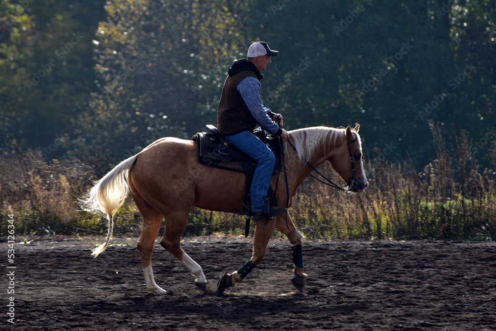 Westernreiten