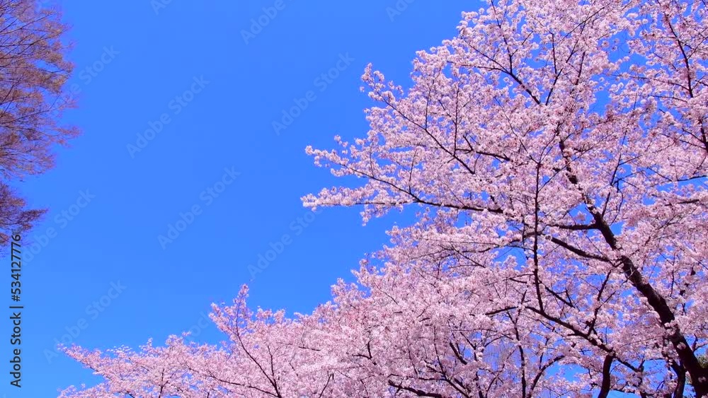 名称未設定プロジェクト 名称未設定プロジェクト
