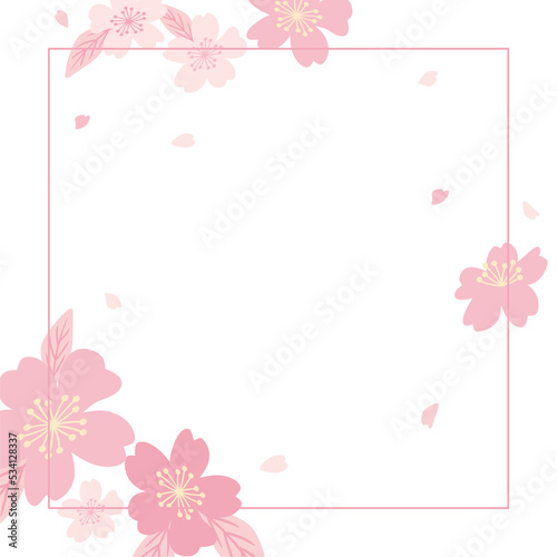 Cherry blossom flower frame illustration  