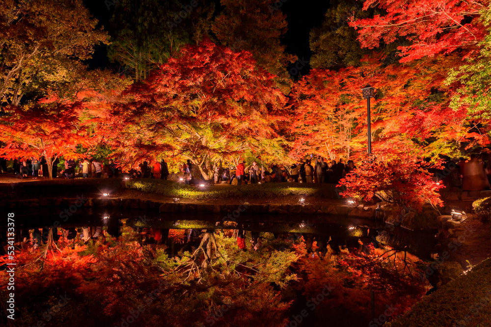 池が鏡の様にライトアップされた紅葉を映し出します
