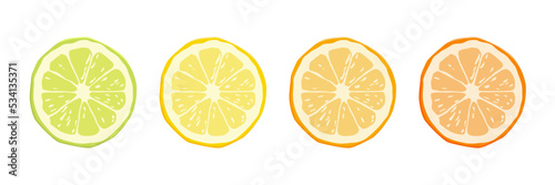 Vector Citrus Fruit Icon Set - Yellow Lemon, Green Lime, Orange Mandarin, Grapefruit. Round Slice Design Element Isolated on White Background