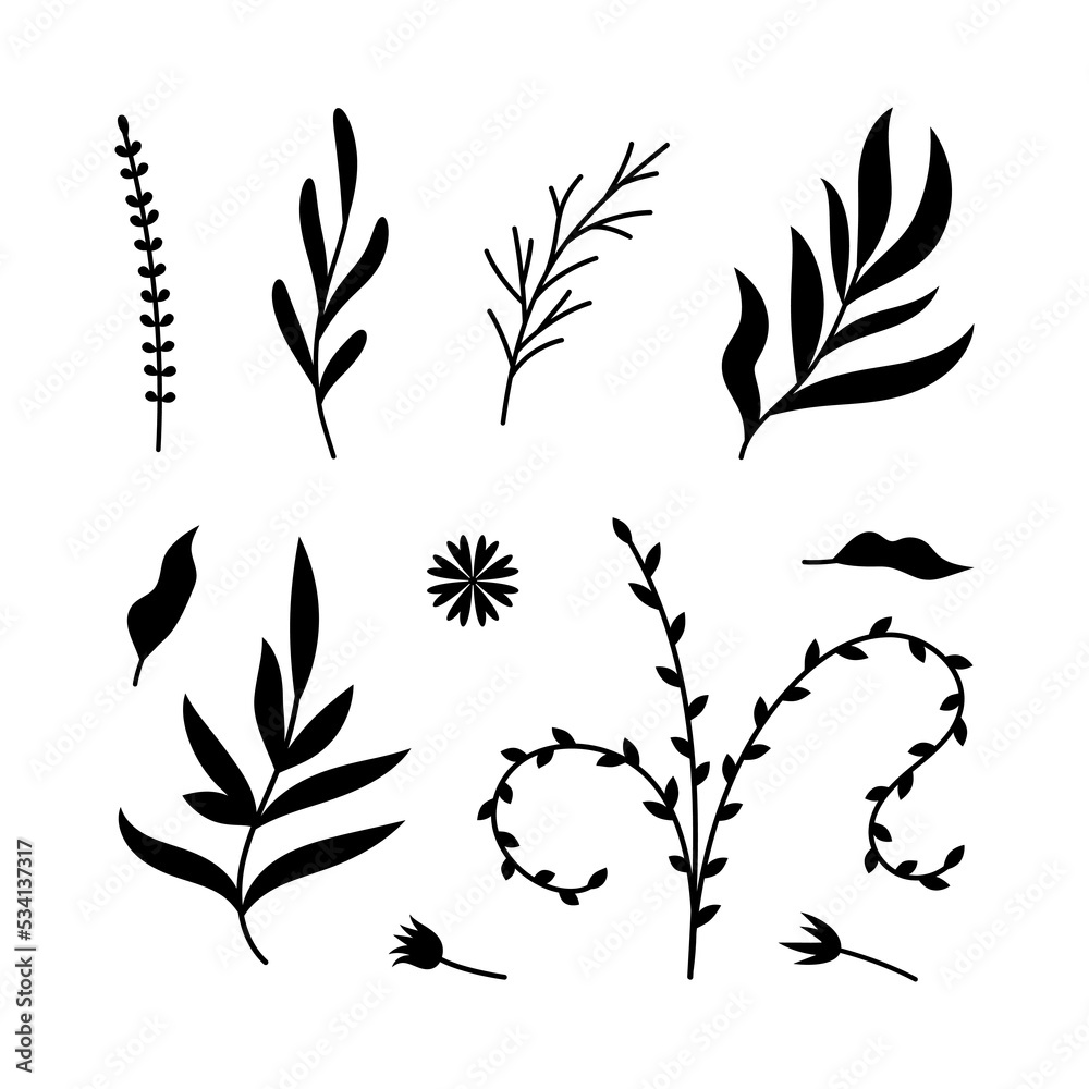 Naklejka premium Vector illustrations of branches and leaves. Hand drawn black floral elements . Vintage botanical design