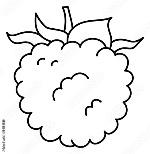 Fototapeta Naklejka Na Ścianę i Meble -  Raspberry or blackberry. Berry sketch. Black line icon. Illustration for coloring book