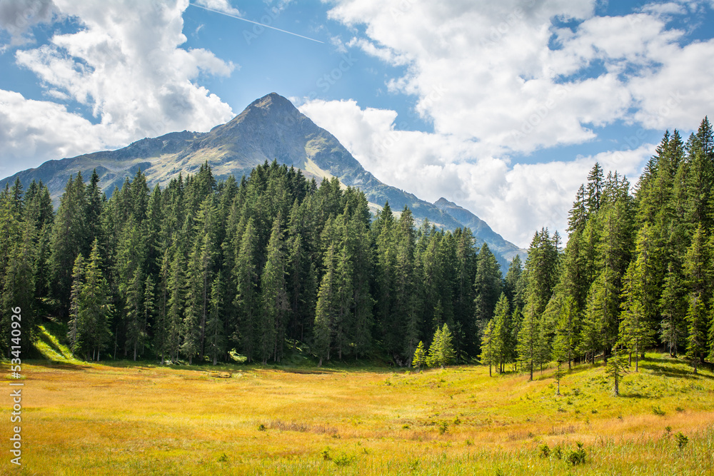 Fototapeta premium Landschaft