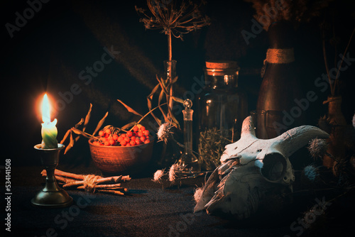 Samhain night. Witchs altar with goats skull, burning candle, dry herbs and magic vessels in the dark, low key, selective focus. photo