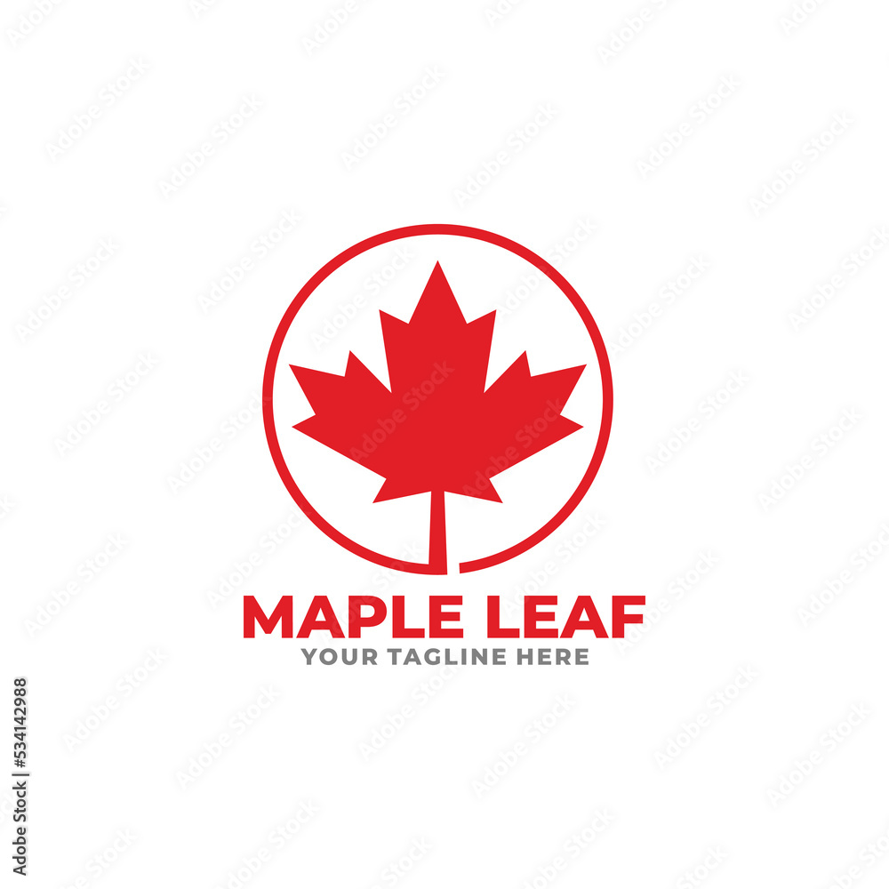 Maple leaf logo design vector Maple leaf logo design vector