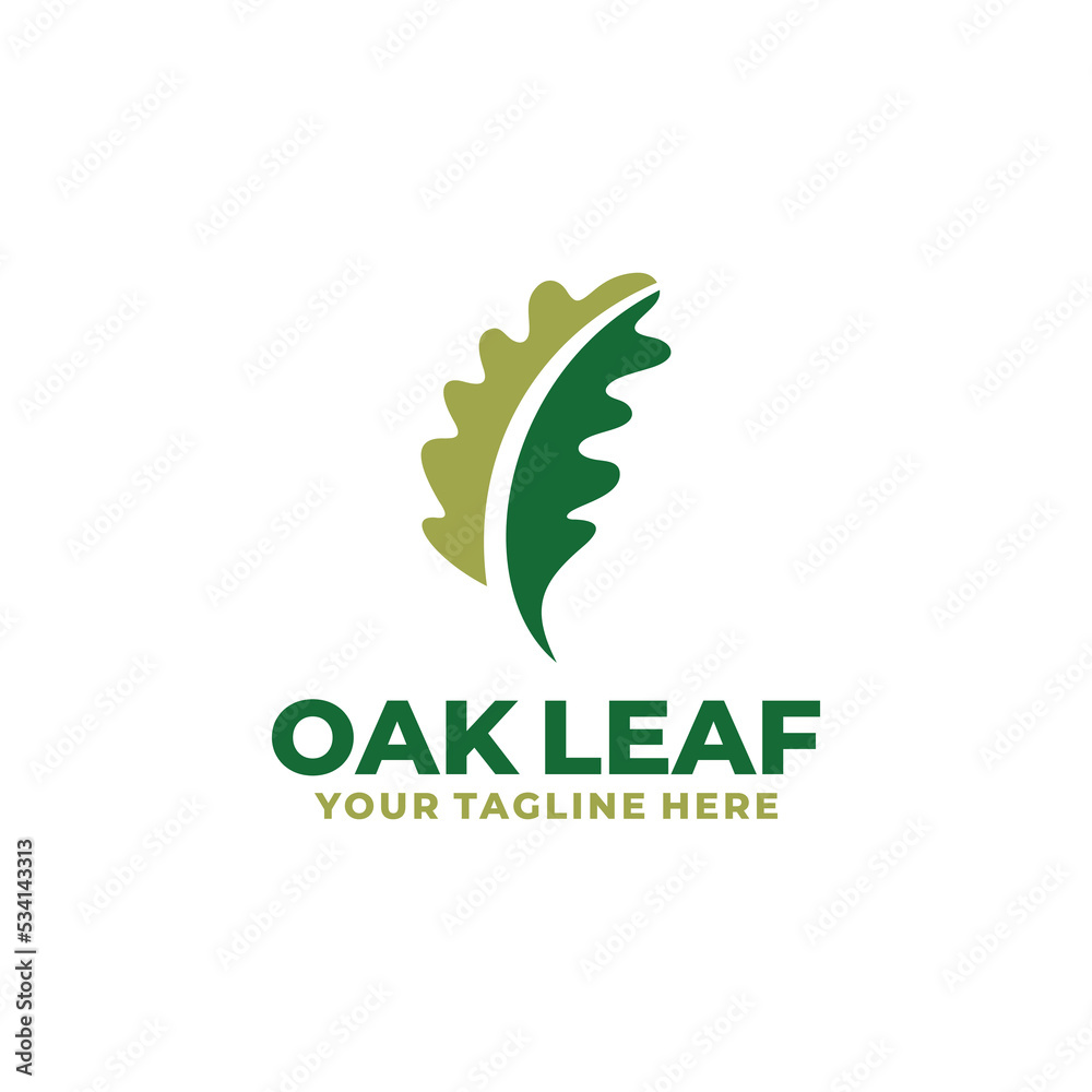 Oak leaf logo design vector Oak leaf logo design vector