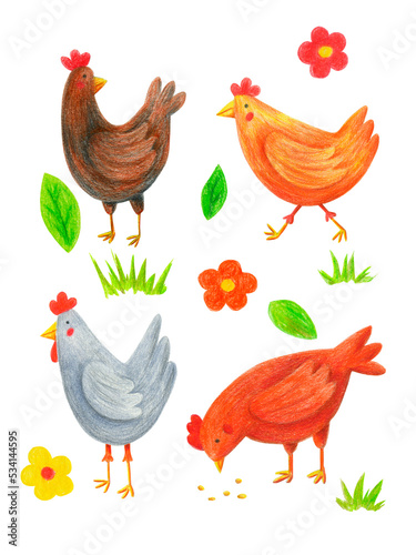 Chicken clip art set isolated on transparent background. Hand drawn with color pencils chicks, flowers, leaves, grass illustrations. Cartoon domestic birds, hens poster.