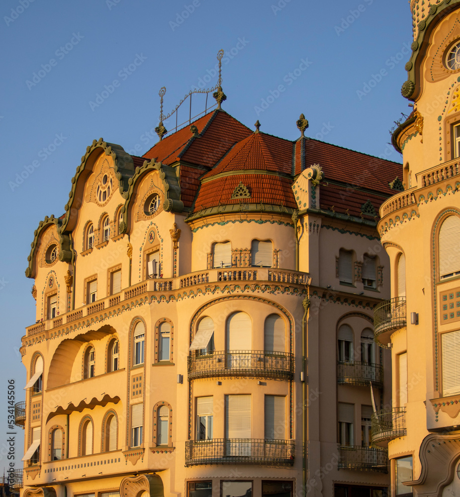 Fototapeta premium Vulturul Negru