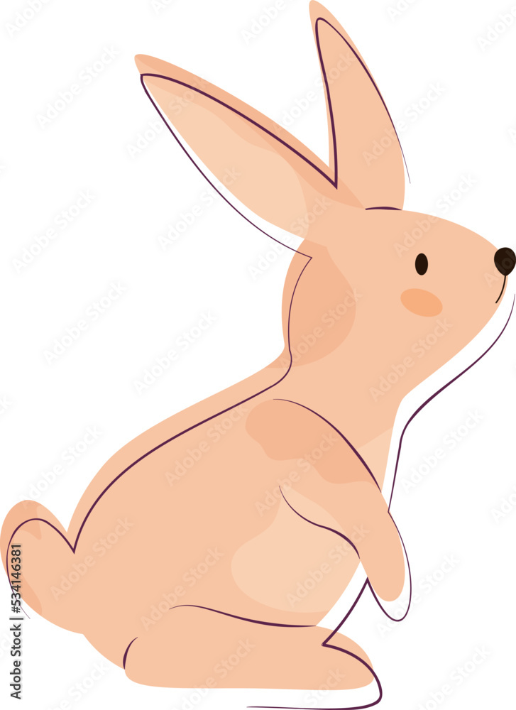 Naklejka premium bunny rabbit
