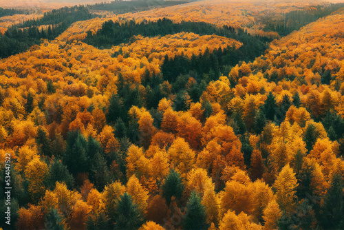 3d illustration, colorful autumn forest, drone shot angle