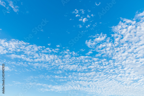秋の空にうろこ雲 photo