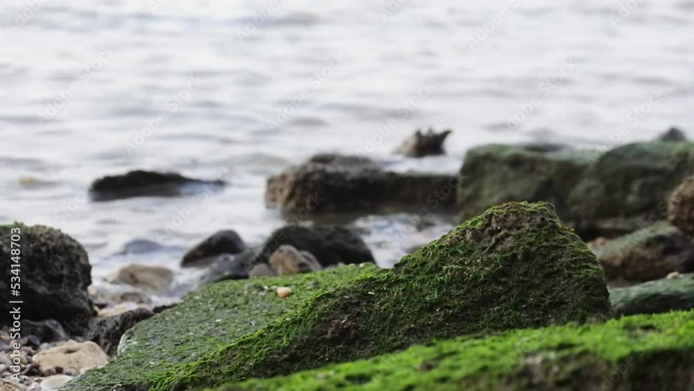 low shot of waves crashing against rocks on the beach. HD videos of sea. mossy. low shot of waves crashing against rocks on the beach. HD videos of sea. mossy.